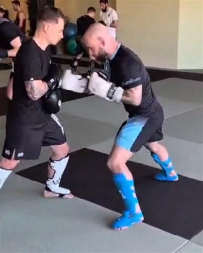 Punches in bunches...