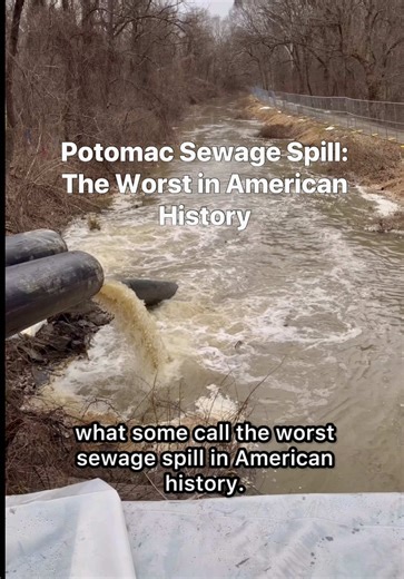 Potomac Sewage Spill: America's Largest Environmental Crisis