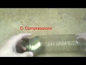 activity Study of longitudinal waves