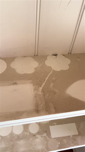 20 Years of Dust Cleared