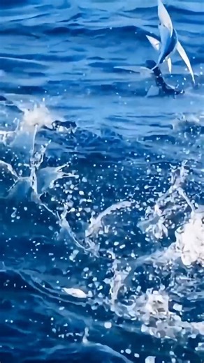 le secret du poisson volant | Une Vie Simple | Facebook