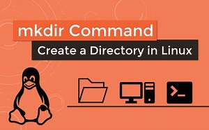 【Linux自习室】三分钟学习mkdir（文件创建）和rm（文件删除）
