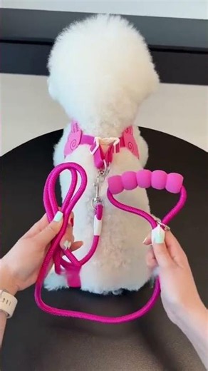 The Easiest Dog Harness Ever 2 Seconds to Put On