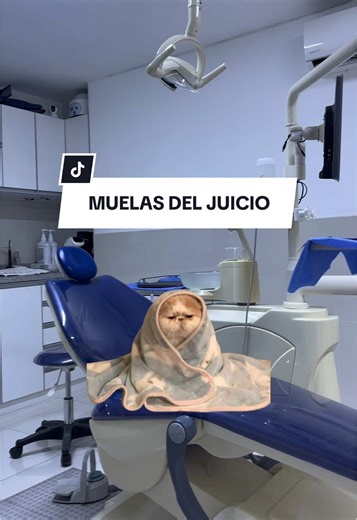 Recomendarles al doc @Dr. Renzo Perez Implantologo muy ético y profesional🦷 Pensé que me iría muy mal o que me dolería mucho pero no! Así que te cuento como va el post operatorio, yo tome la desicion de que que fueran las 4 cordales juntas, también mis muelitas se prestaron para que así fuera, y en mi caso si era necesario sacarlas. #cordales #muelasdeljuicio #muelas #odontologia #odontologos