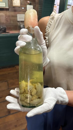 This wine contains real baby mice. Believe It or Not!, wine made out of fetal mice was sold by pharmacists in Hong Kong as a digestive aid and as an ointment to cure arthritis. . . . #RipleysBranson #Ripleys #BION #RipleysBION #WeirdHistory #History #WeirdNews | Ripley's Believe It or Not!