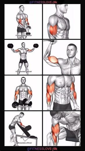 different bicep workout exercises along with highlighted muscle anatomy. Each frame displays fitness