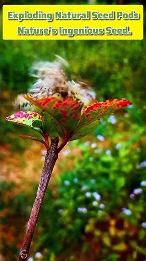 Science explained simply