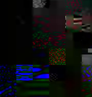 Two poodles running down Florida Avenue in the middle of the roadway at Florida and cawston | Action Eye News LIVE