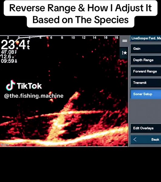 Reverse Range & How I Adjust It Based on The Species