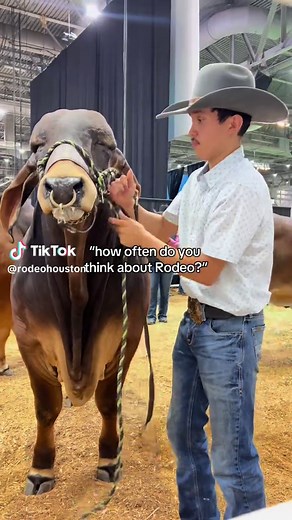 definitely all day every day 🤭 #rodeohouston #rodeo #carnival #livestockshow