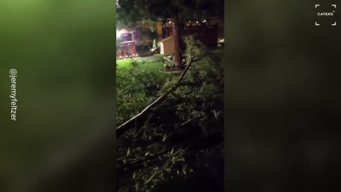 Severe Storm Topples Tree in South Dakota