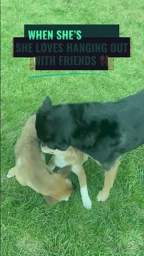 🌟 Employee Spotlight Katie Serniak, Product Marketing Manager 🌟