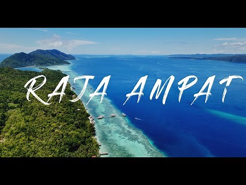 [4K] Diving Raja Ampat 2025 – The Ultimate Dive Adventure @papuadivingresorts