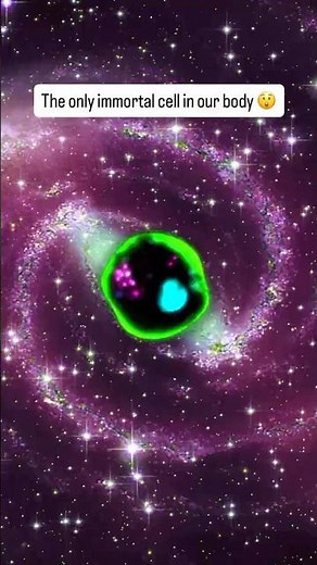 The Only Immortal Cell In Our Body