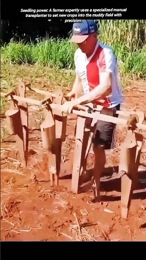 Manual Seedling Transplanter in Action on a Muddy Farm Field