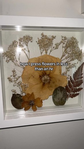 Quick and Easy DIY Flower Pressing Guide