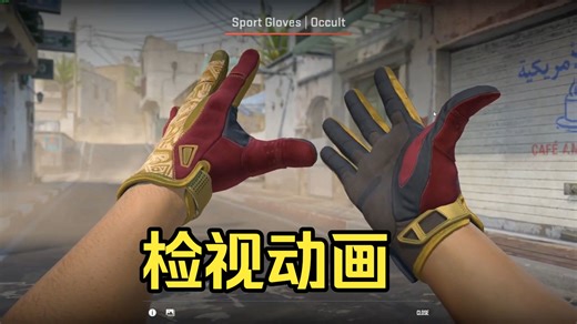 全站首发！CS2死手系列22副新手套游戏内检视动画