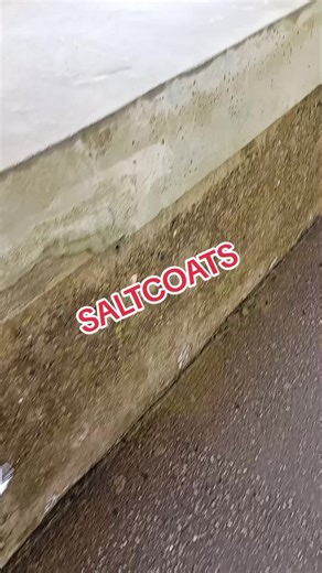 #fyp #saltcoats #happytuesdayteam💙💙💙 #fypviralシ #thenewmonkey🐒 @Craig Byrne @JacquelineX @Laurendocherty 🏝️. @Unmuted_Mitsi @C💚😘 @andyboi👊🏽🫡 @BigShack😎🏴󠁧󠁢󠁳󠁣󠁴󠁿_ytm @debbie @Big Bastard 🎣 @GHOSTFACE!!! @George Mckenzie @here we joe