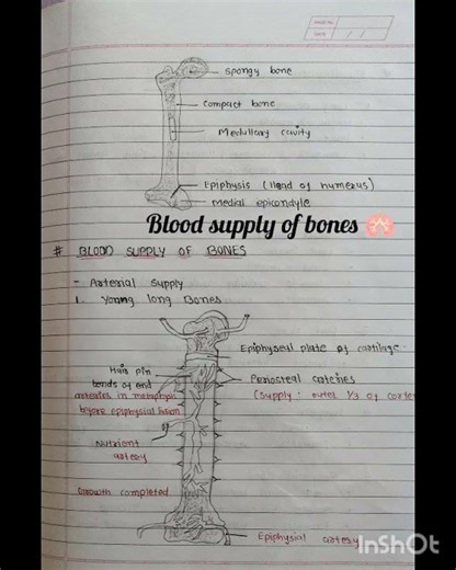 classification of bones 🩻 quick revision 👍🏻