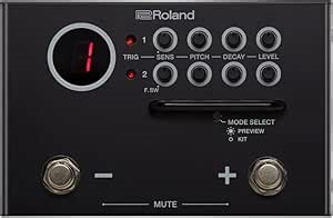 Roland TM-1 Dual Input Trigger Module with WAV Manager Application (TM-1)