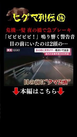 👆本編はこちら👆目の前に突然ヒグマ2頭現れ急ブレーキ！ドライブレコーダーに記録…北海道での目撃情報「過去最多の3000件超」#ヒグマ列伝