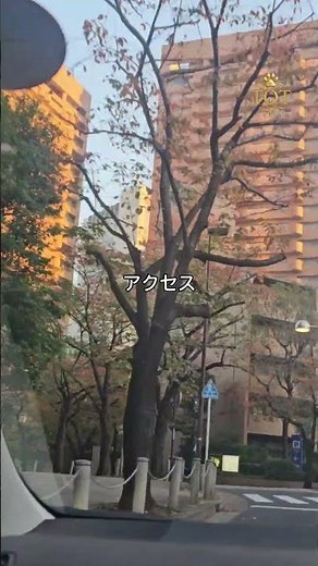 東京旅行で失敗しないホテル選び｜静かで快適#東京ホテル#東京旅行#ホテル紹介#JapanTravel#TokyoHotel