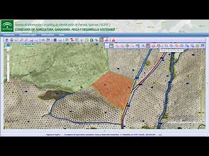 Vídeotutorial captura de alegaciones SIGPAC a Frutos Cáscara [2019]