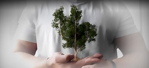 Easy Tree Generator Update 3.0 [$]