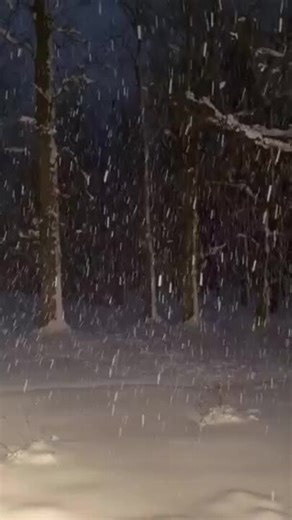 Fresh Snowfall Coats New Jersey’s Somerset County