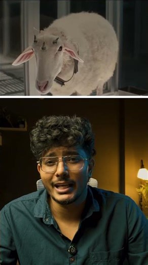 2025’s Sci-Fi Madness: Aliens, Robots, Hybrids! 😳🔥”