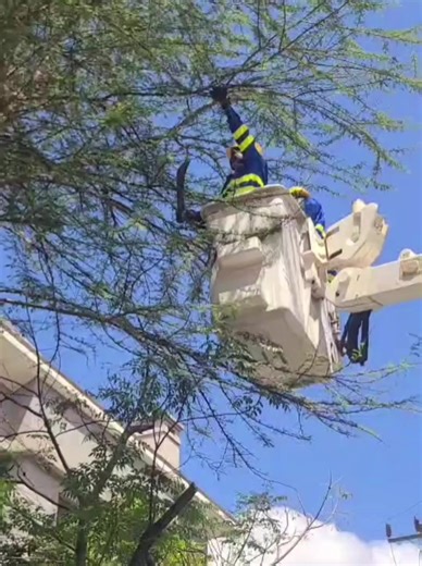 Our Nairobi West Live Line team has completed a series of maintenance works to improve the quality and reliability of power supply in Lavington and surrounding areas. Today, the team serviced a power transformer along Amboseli Lane and replaced worn-out safety parts on other transformers along Olenguruone Road. The work was done using special technology that allowed customers to remain connected to electricity throughout the exercise. We also cleared vegetation near power lines as part of prepar