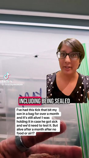 Understanding Ticks: Facts and Health Risks