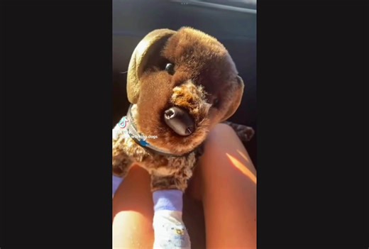 ESSA comp #CreditToAllCreators