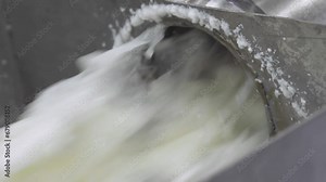 Processing Tube With Flowing Milky Whey Close-Up At Dairy Product Making Factory. Milky Whey Automated Processing Line Room. Milky Whey Making Process. Milk Industry Producing Technology