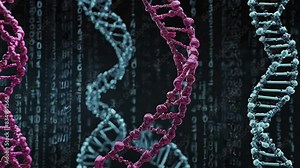 Evolution and Structure of DNA: Background and Its Significance in Modern Biology