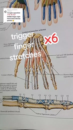 31K views · 691 reactions |  exercises that are good to do in cases...