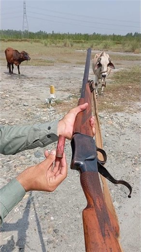 Vintage Firearm: Old Martini Shotgun Review