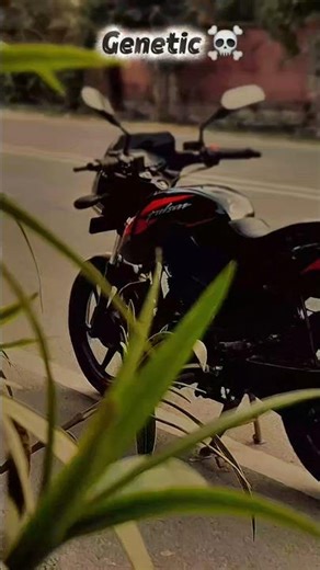 Genetic hai 🥶🏍 #trending #explore #viralvideos #ytshorts #fyp #bikelover #pulsar125 #status #shorts