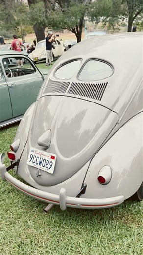 Vintage split window VW Bugs at VW treffen car show 2025 #vw #vwbug #splitwindow #patina #project