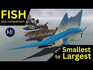 Fish SIZE Comparison (Updated)🐠🐟