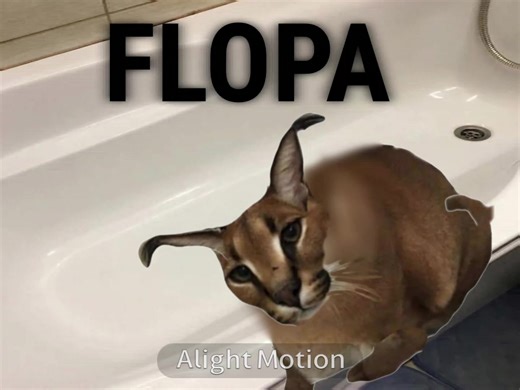 floppa #animation#cat#meme#alightmotion#aligntmotion
