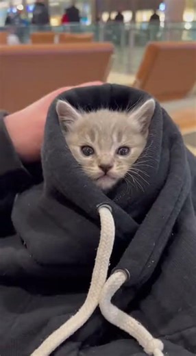 “The vending machine made a sound… but no one bought anything.”