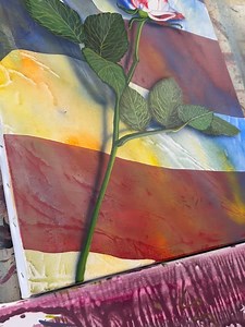 Scott Jacobs Gallery on Reels