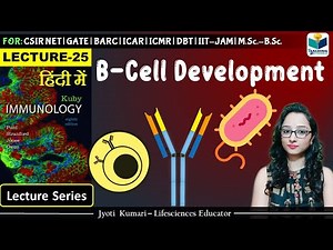 Immunology: B Cell Development | Lecture-25