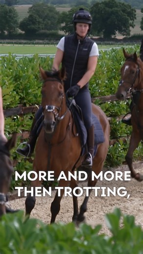 How do trainers get their horses fit for the new season? 🐎 Go behind the scenes with Dan Skelton as they share the secrets to race prep! | Exeter Racecourse