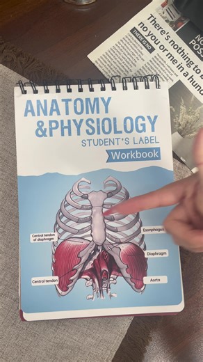 Mastering the AMP Exam: Smart Study Techniques