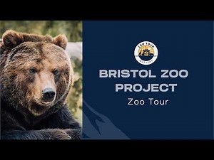 Bristol Zoo Project Zoo Tour - Does this zoo have the UK's best exhibit?