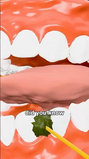 The Shocking Dangers of Toothpicks! 😱🦷