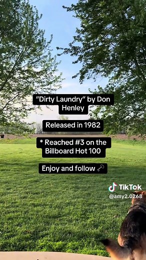 A Throwback to Don Henley's Dirty Laundry: 1982 Hit