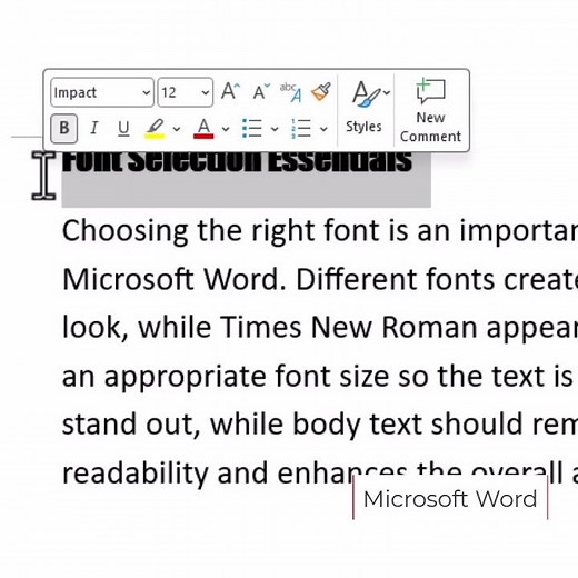 Microsoft Word Font Selection Essentials